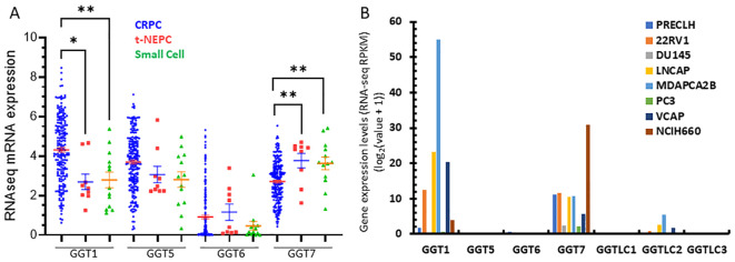 Figure 6