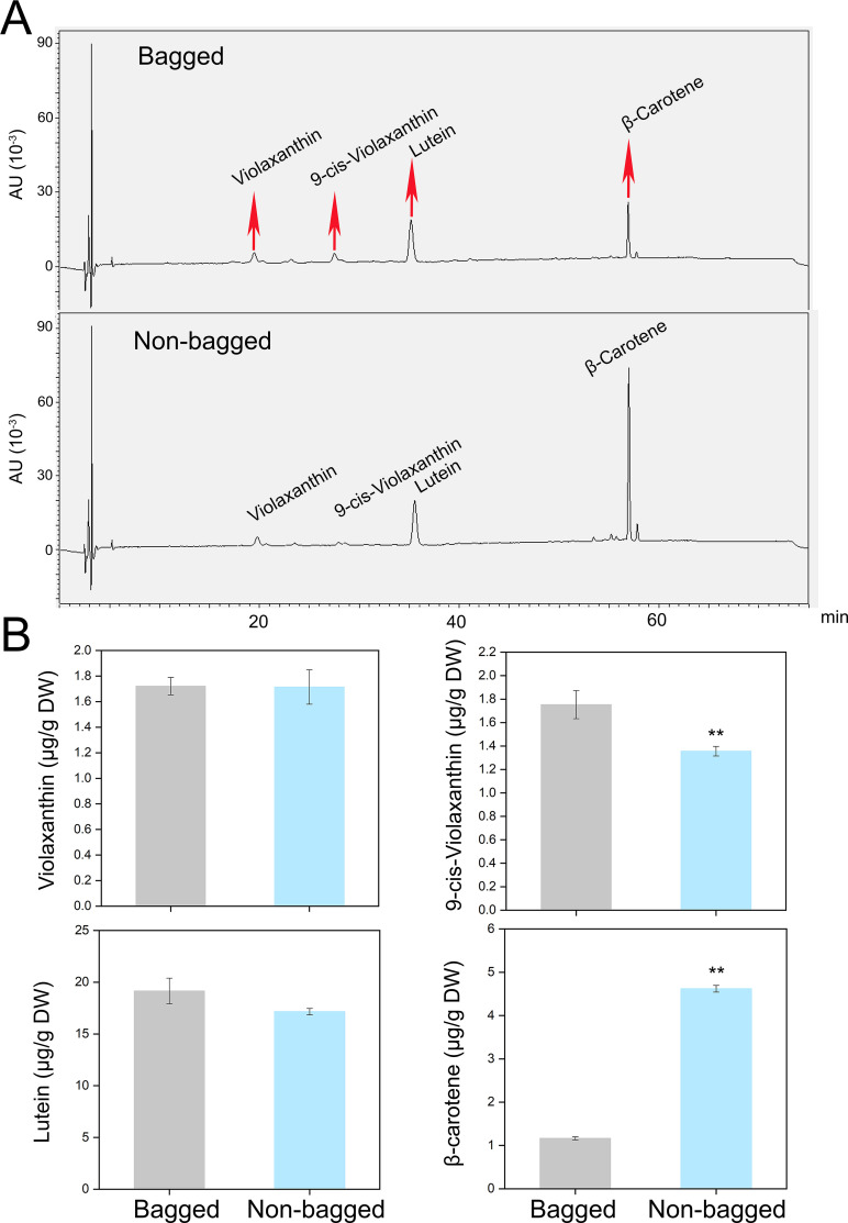 Figure 3