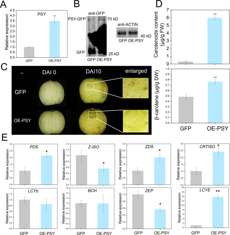 Figure 4