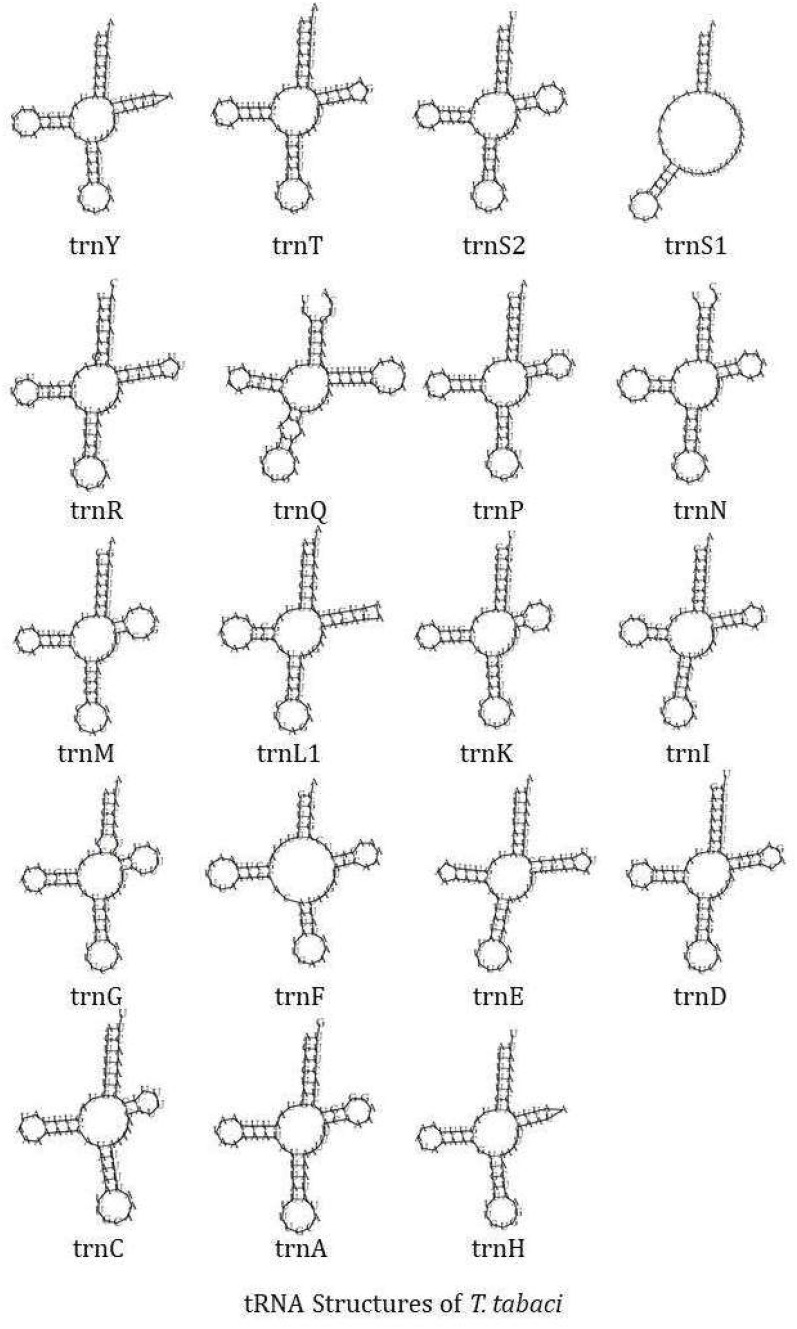 Figure 3