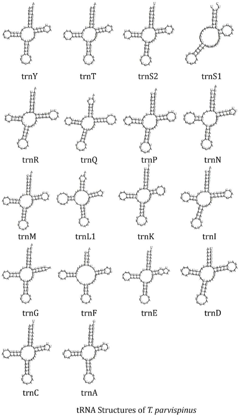 Figure 4