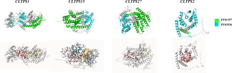 Figure 6