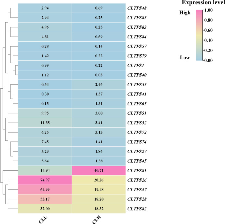 Figure 10