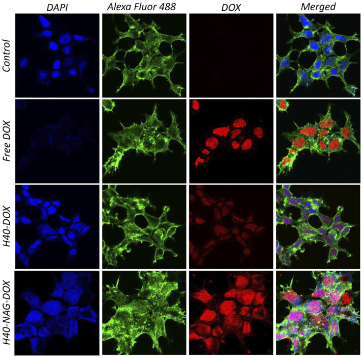 FIGURE 3