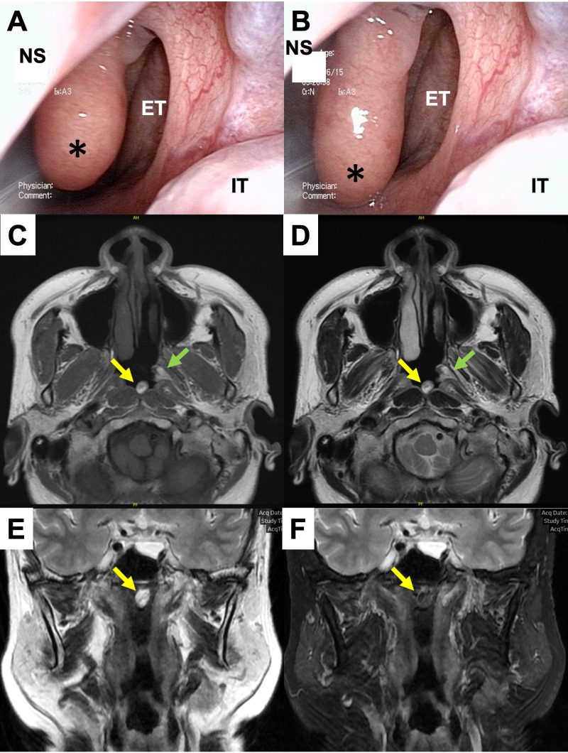 Figure 1