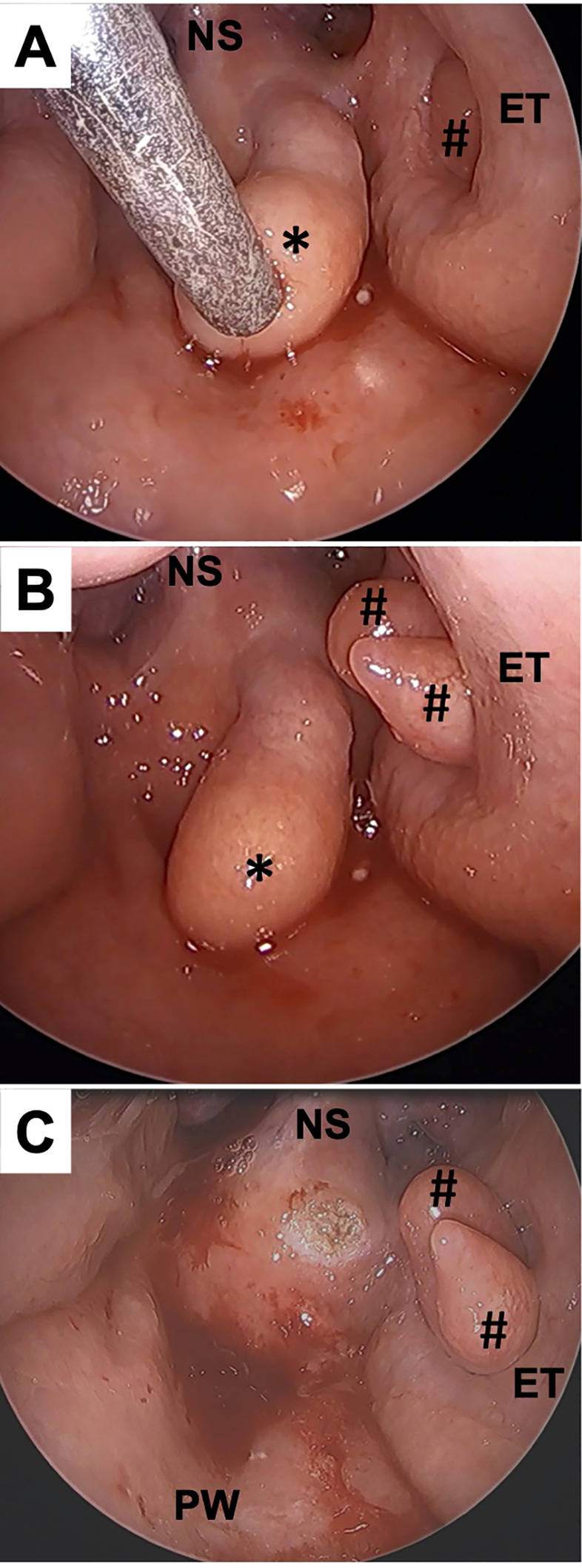Figure 2