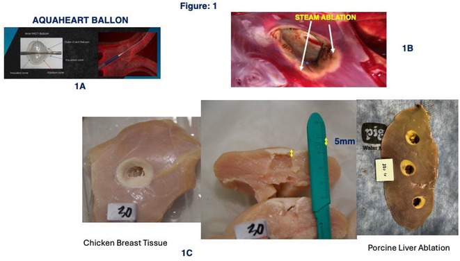 Figure 46