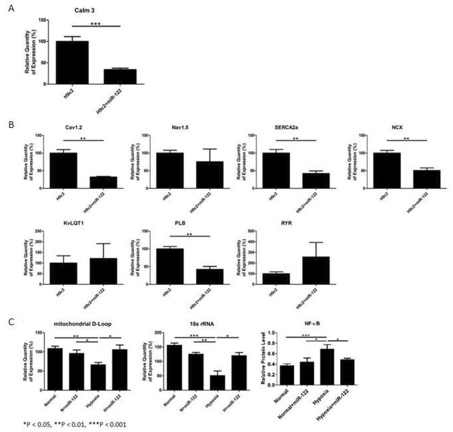 Figure 48
