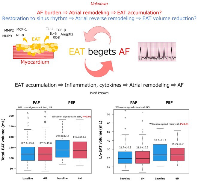 Figure 24