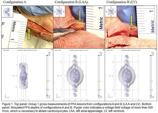 Figure 28
