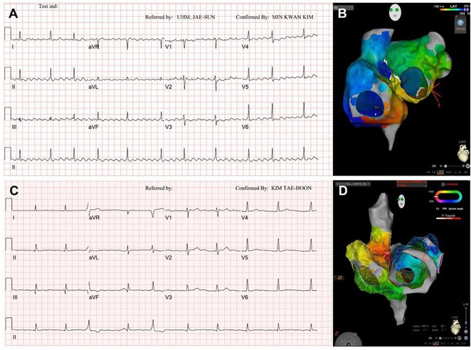 Figure 29
