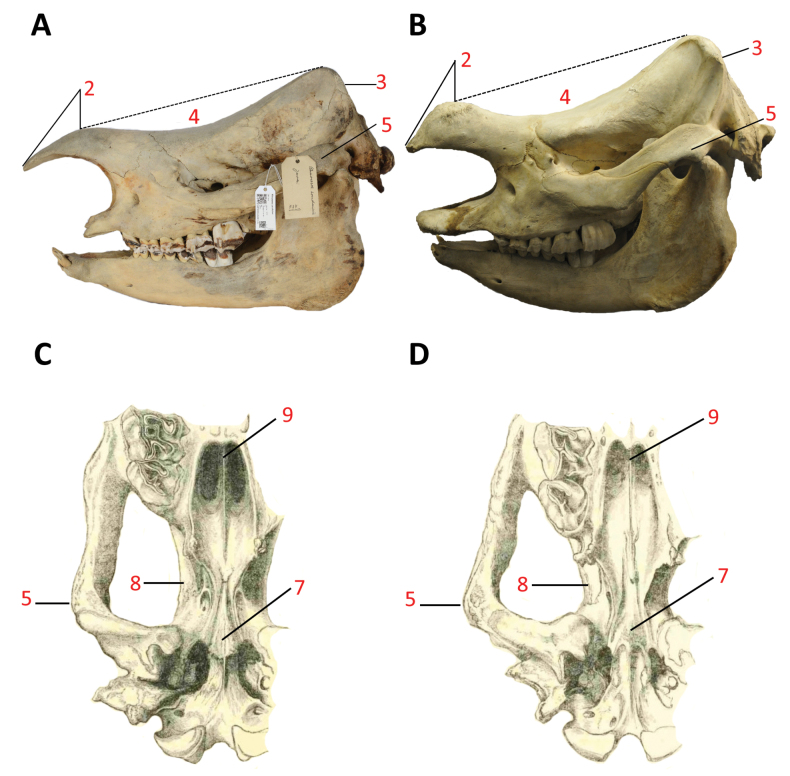 Figure 7