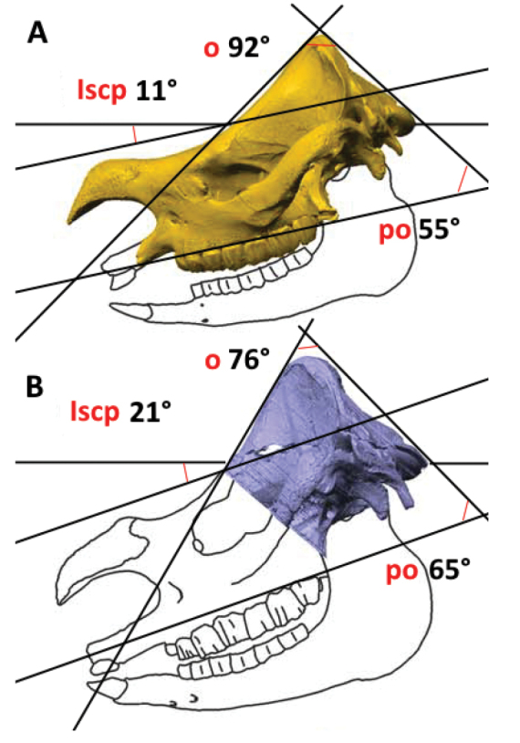 Figure 8