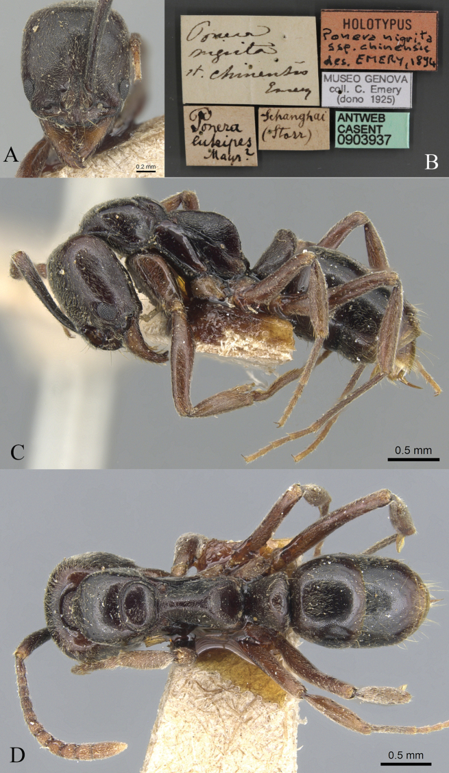 Figure 23