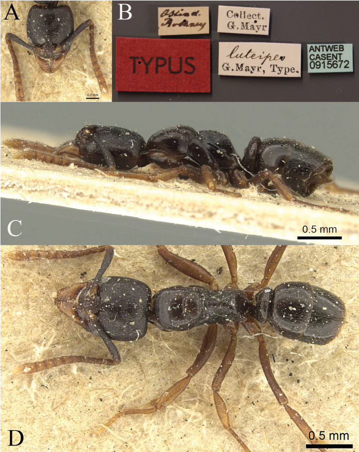 Figure 24