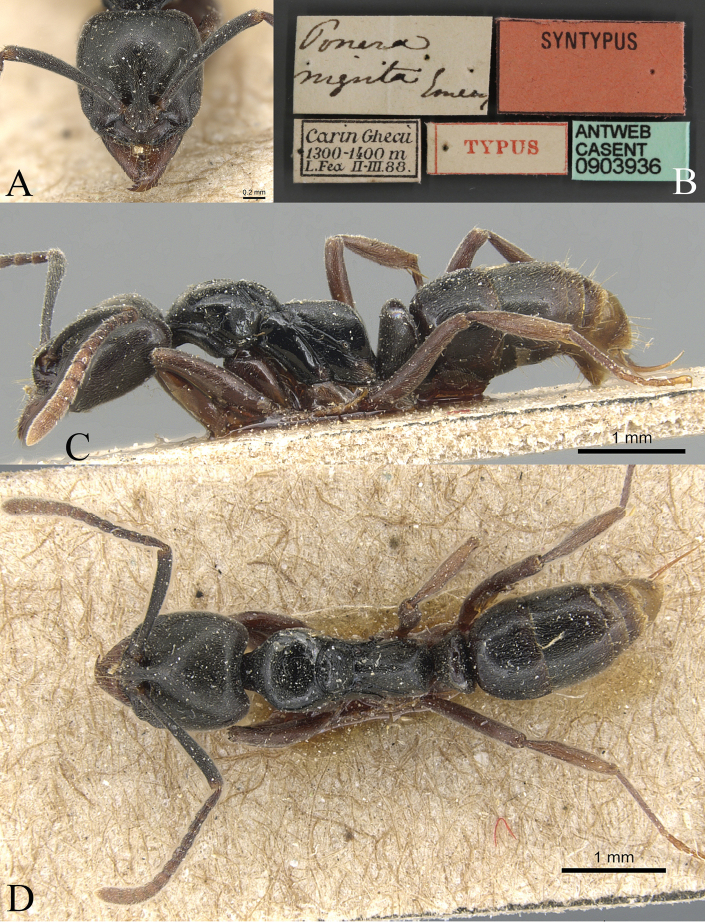 Figure 26