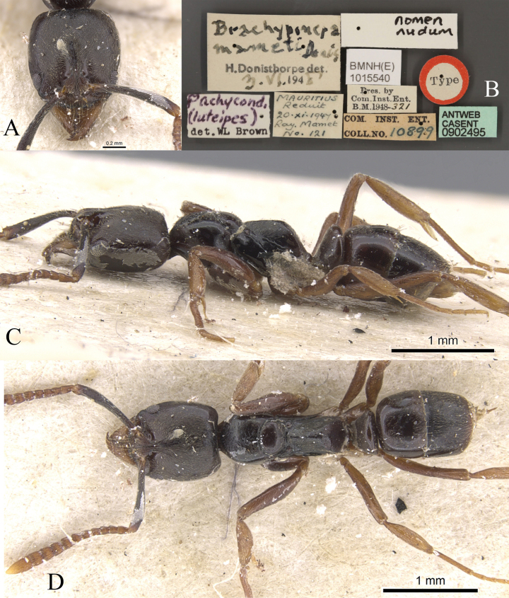 Figure 27
