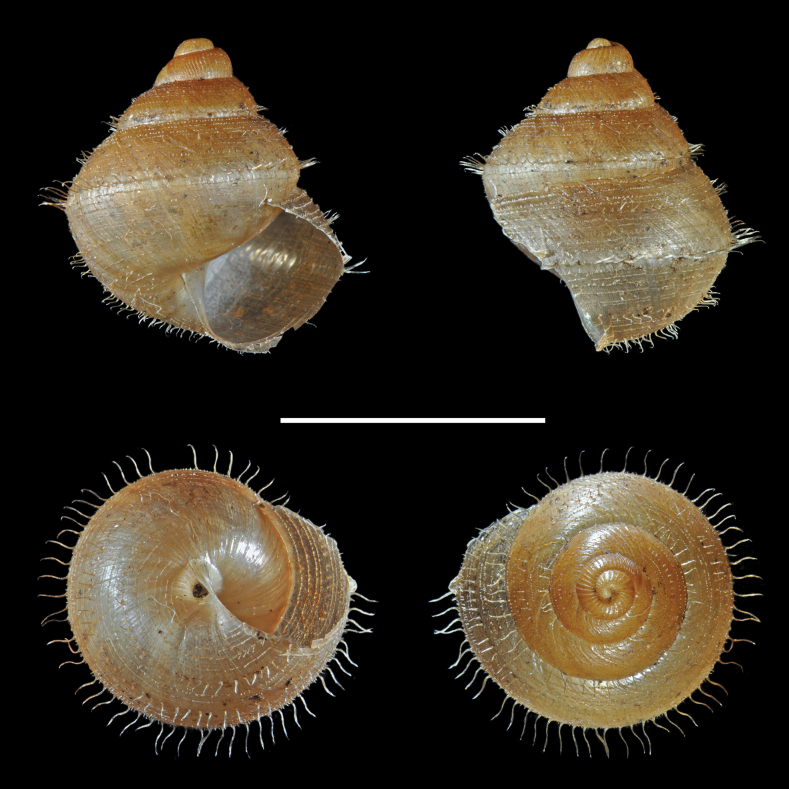 Figure 10
