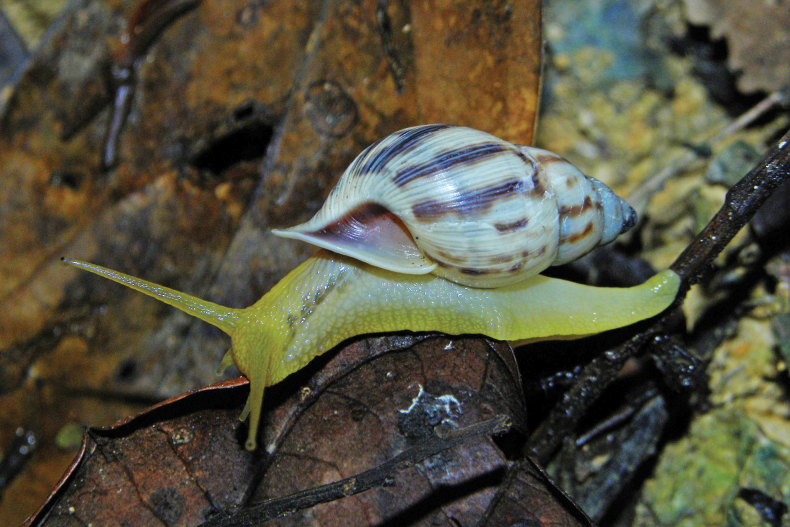 Figure 13