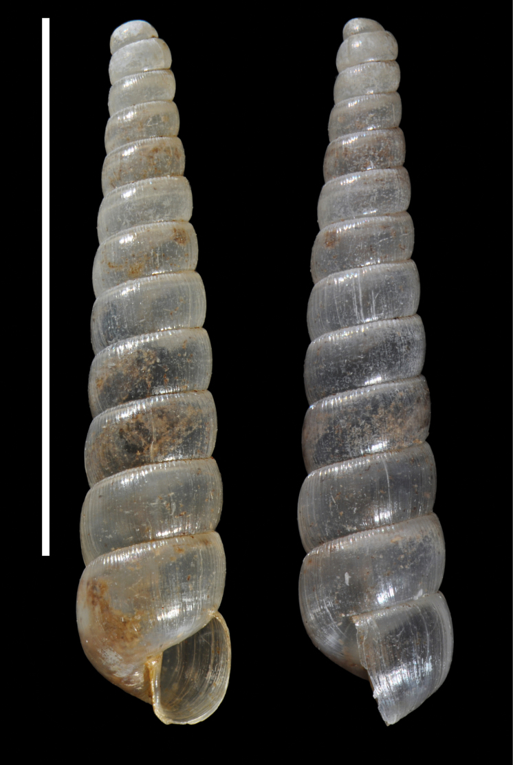 Figure 17