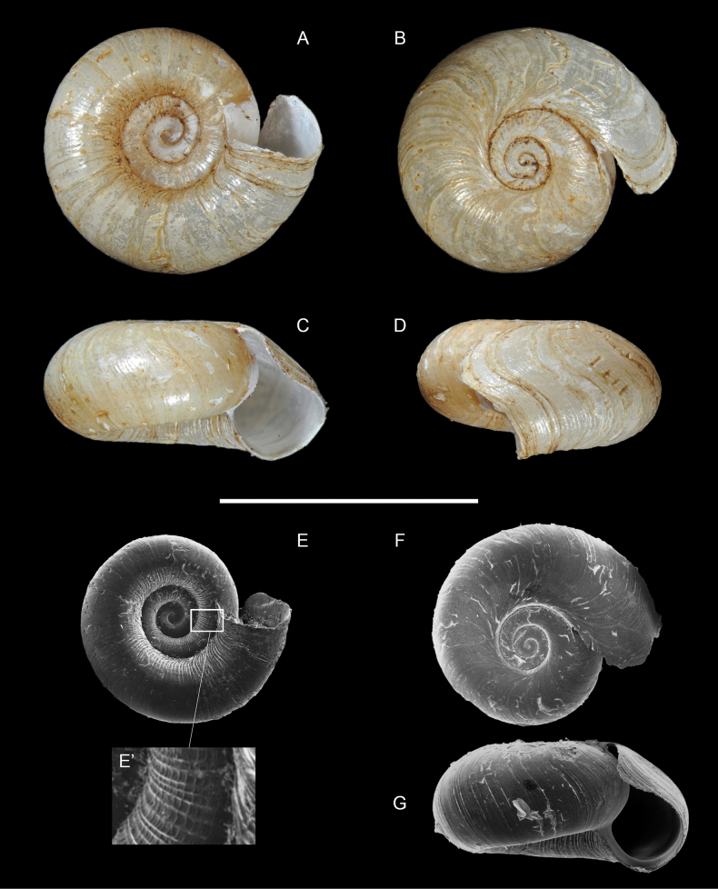 Figure 20