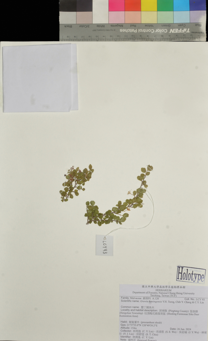 Figure 8