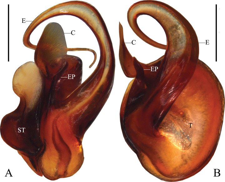 Figure 9