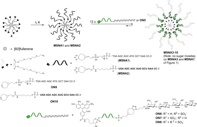 Scheme 2