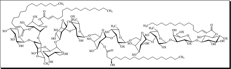 Figure 8