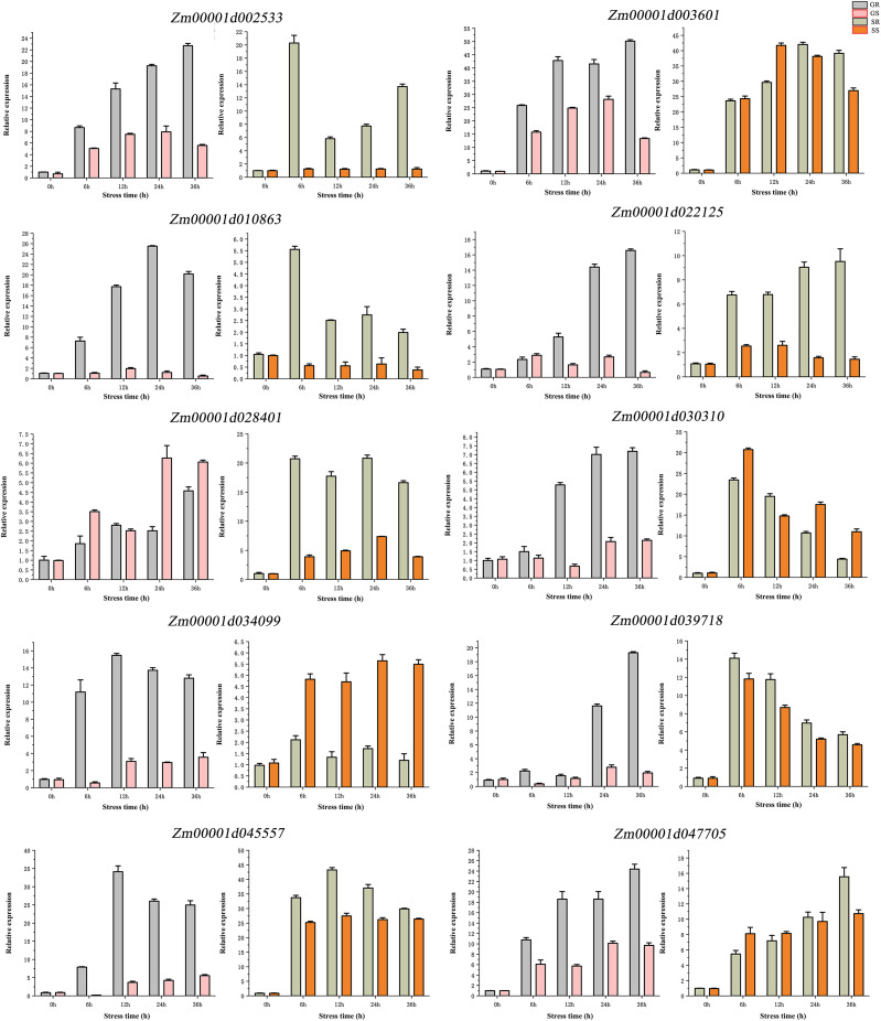 Figure 7