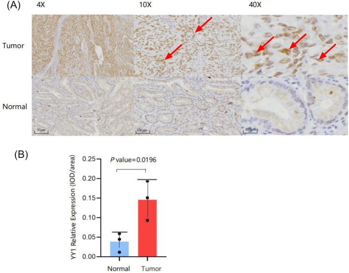 FIGURE 4