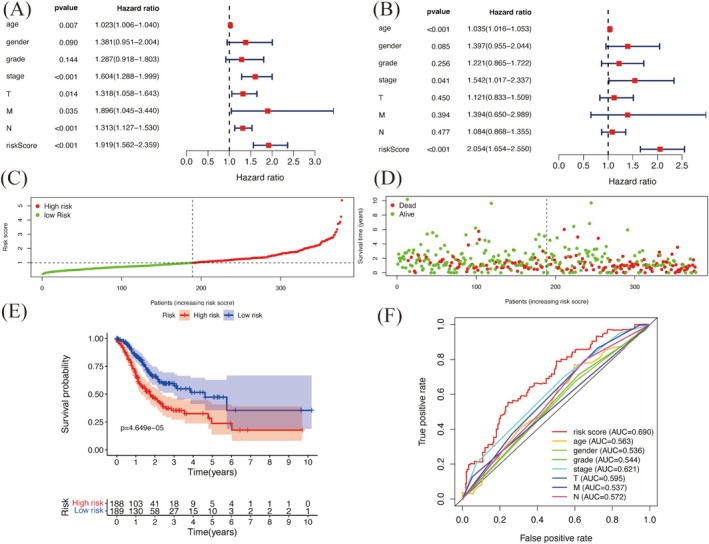 FIGURE 6