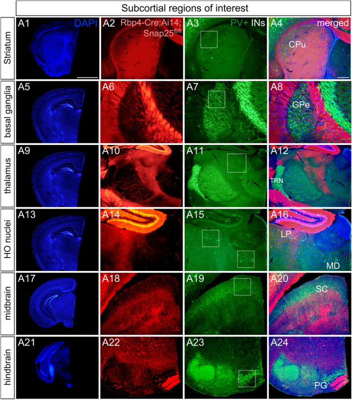 Figure 12