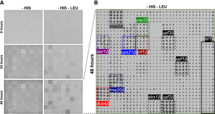 FIGURE 3