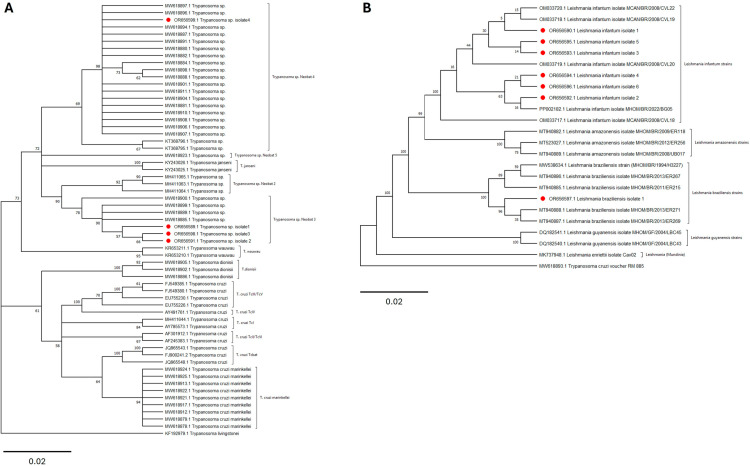 Fig 3