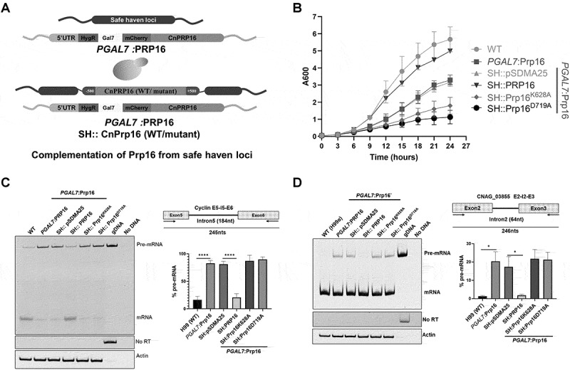 Figure 4