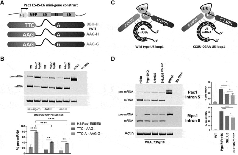 Figure 10