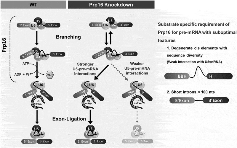 Figure 14