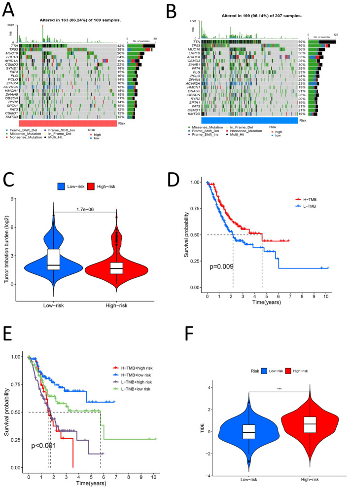 Figure 11