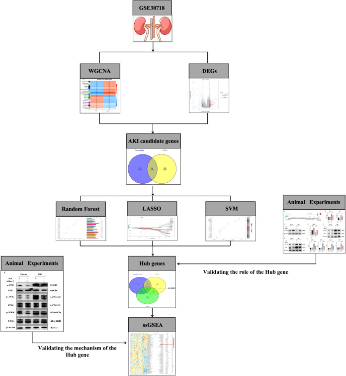 Figure 1