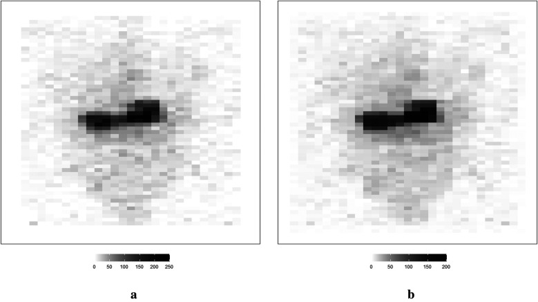 Figure 19