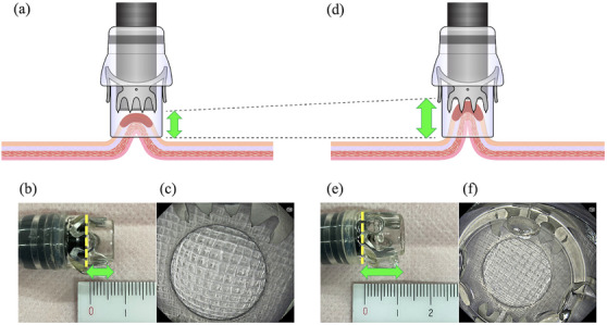 FIGURE 7