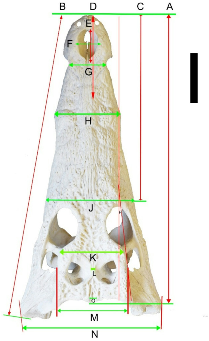 Figure 11