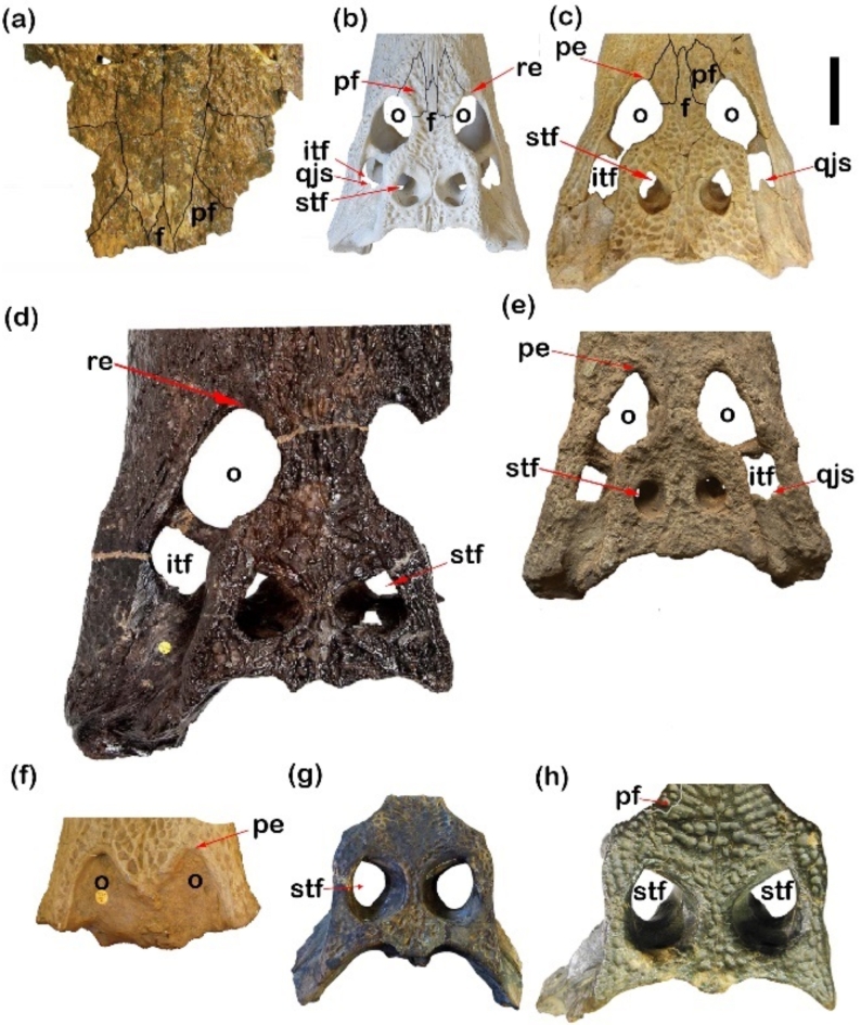 Figure 9