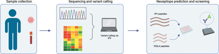 Figure 1