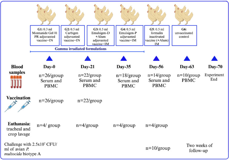 Figure 1
