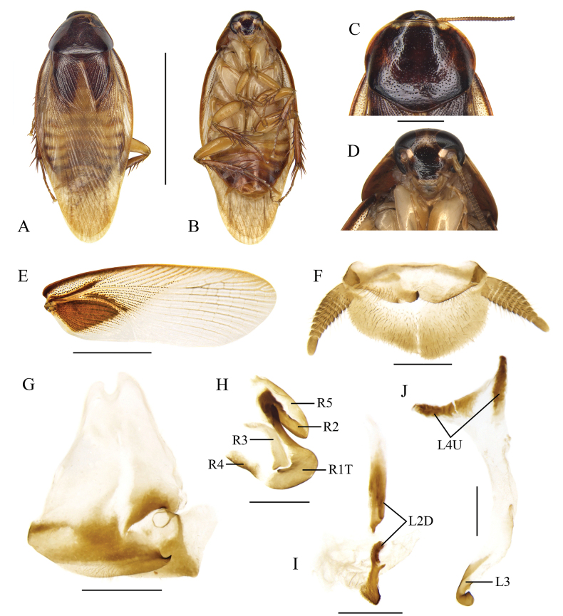 Figure 9