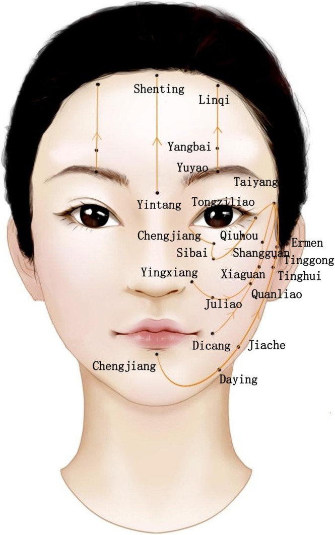 FIGURE 1
