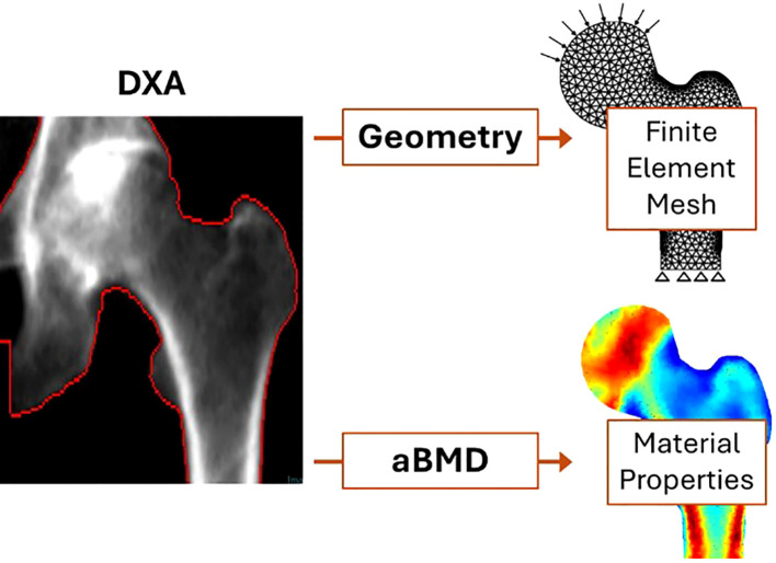 Figure 2