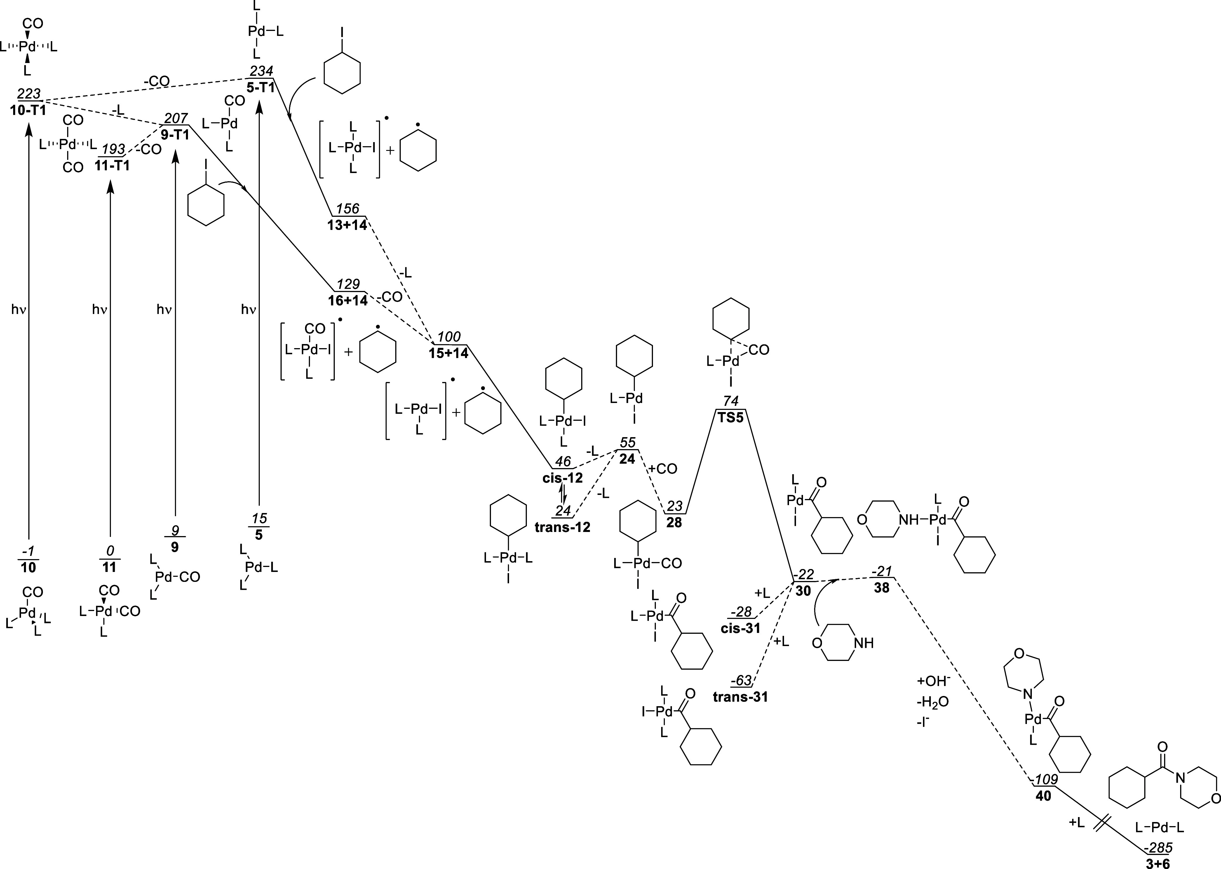 Figure 19